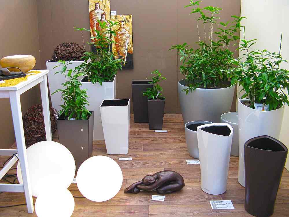 Blumenladen Stuttgart Vaihingen Hertneck Bürobegrünung